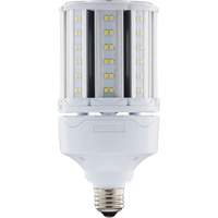 Ampoule HID de remplacement sélectionnable ULTRA LED<sup>MC</sup>, E26, 18 W, 2700 lumens XJ275 | Dickner Inc