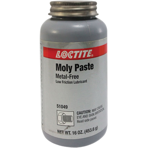 Moly Paste, 518 g., 750°F (400°C) Max. Effective Temperature Groupe Belzile Dickner