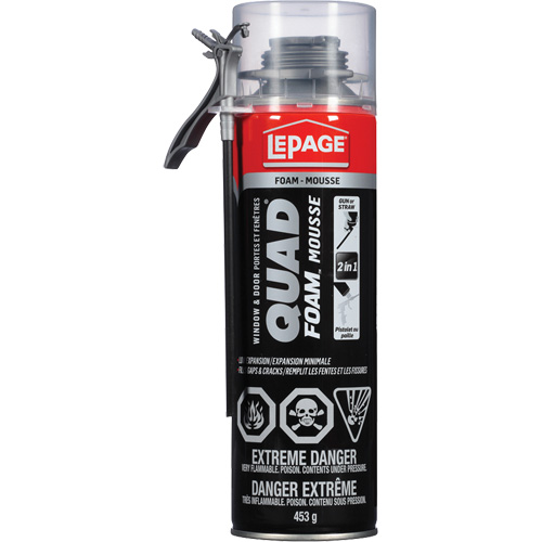 Mousse d'installation de portes & fen&ecirc;tres Quad Mousse, Canette a&eacute;rosol, Havane Groupe Belzile Dickner