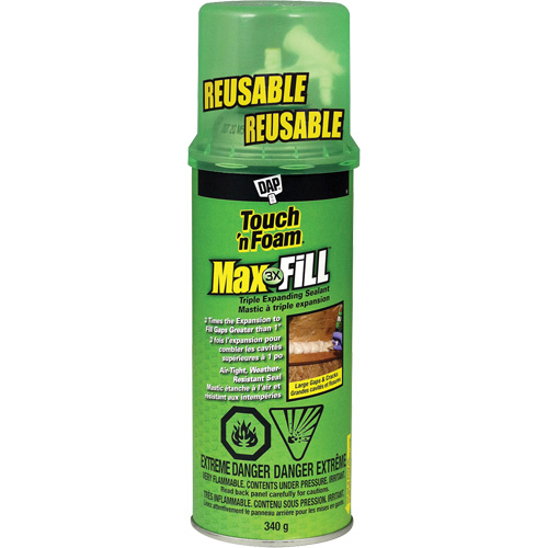 Touch 'n Foam&reg; Max Fill Triple Expanding Sealant, 340 g, Aerosol Can, Cream Groupe Belzile Dickner