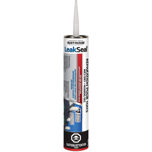 LeakSeal&reg; Wet/Dry Roof Repair Groupe Belzile Dickner