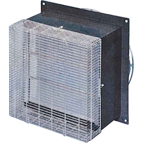 Fan Guard 12"  Front Groupe Belzile Dickner