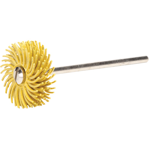 Scotch-Brite Radial Bristle Discs, 80X Grit, 3/4" Dia. Groupe Belzile Dickner