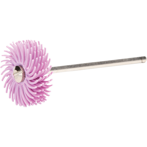 Scotch-Brite Radial Bristle Discs, Pumice Grit, 3/4" Dia. Groupe Belzile Dickner