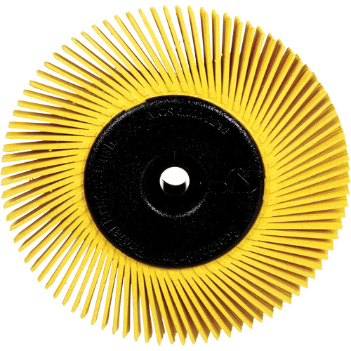 Radial Bristle Brushes for Bench Grinders, 80X Grit, 6" Dia. Groupe Belzile Dickner