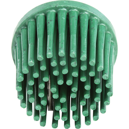 Disques bristle Roloc, Grain 120, 1" dia. Groupe Belzile Dickner