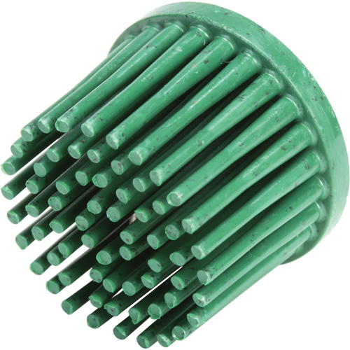 Disques bristle Roloc, C&eacute;ramique, Grain 50, 1" dia. Groupe Belzile Dickner