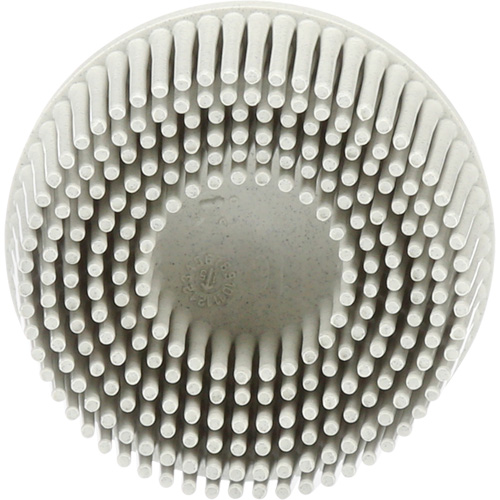 Scotch-Brite Roloc Bristle Discs, 120 Grit, 2" Dia. Groupe Belzile Dickner