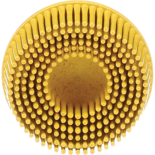 Scotch-Brite Roloc Bristle Discs, 80 Grit, 2" Dia. Groupe Belzile Dickner