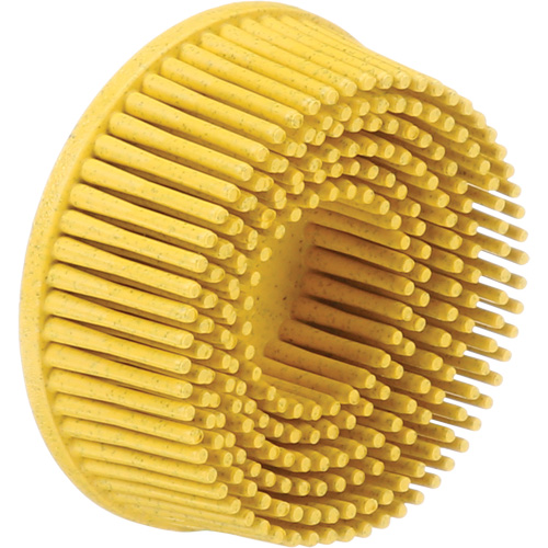 Scotch-Brite Roloc Bristle Discs, 80 Grit, 2" Dia. Groupe Belzile Dickner