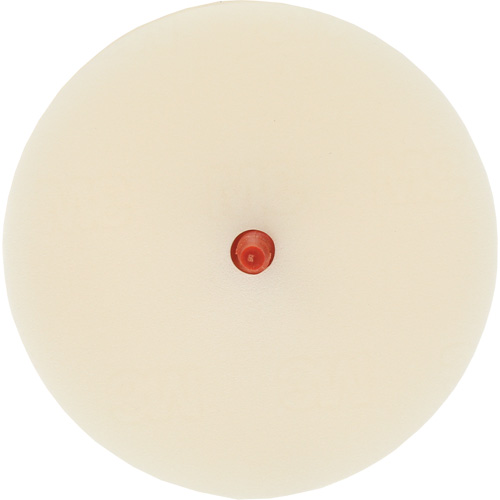 Disque pour enlever les bandes et les adh&eacute;sifs pour moulures Scotch-Brite, 4" dia. Groupe Belzile Dickner