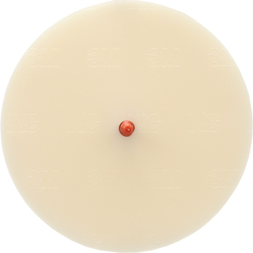 Scotch-Brite Moulding Adhesive and Stripe Removal Disc 7502, 6" Dia. Groupe Belzile Dickner