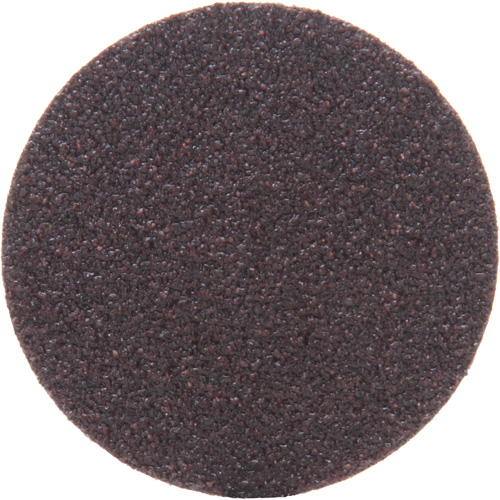 361F Discs - Roloc TSM, 2" Dia., 36 Grit, Aluminum Oxide Groupe Belzile Dickner