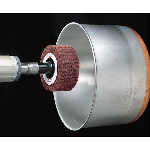 Brosses &agrave; lamelles Scotch-Brite Groupe Belzile Dickner