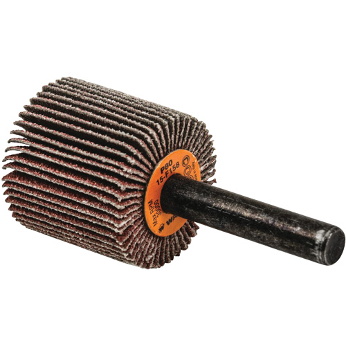 Disques &agrave; lamelles - Meules &agrave; lamelles Coolcut, Oxyde d'aluminium, Grain 80, 1" x 1" x 1/4" Groupe Belzile Dickner