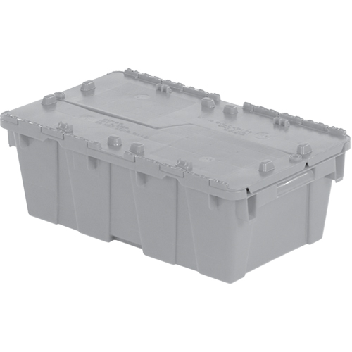 Flipak&reg; Polyethylene Plastic (PE) Distribution Containers, 19.7" x 11.8" x 7.3", Grey Groupe Belzile Dickner
