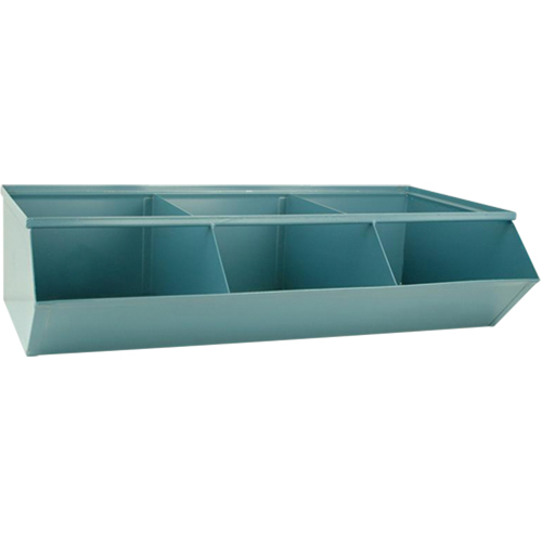 Sectional Bin Units, 100 lbs. Cap., 37" W x 20-1/2" D x 9-1/2" H, Blue Groupe Belzile Dickner