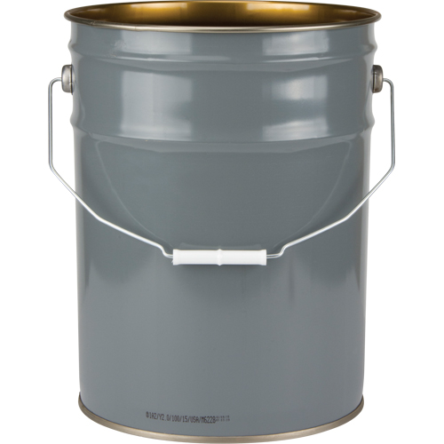 Lined Pail, Steel, 20 L Groupe Belzile Dickner