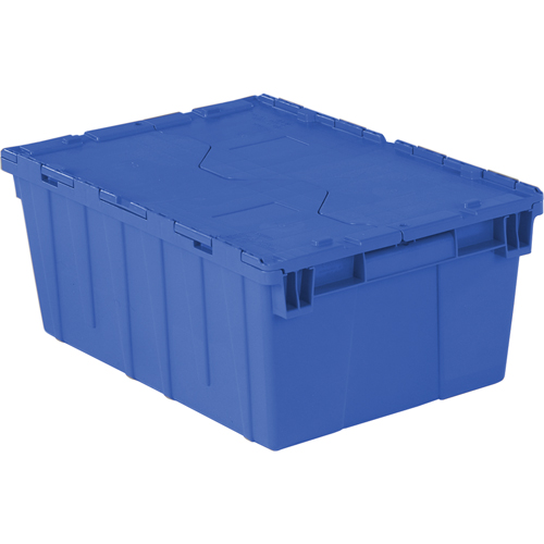 Flipak&reg; Polyethylene Plastic (PE) Distribution Containers, 21.9" x 15.2" x 9.3", Blue Groupe Belzile Dickner