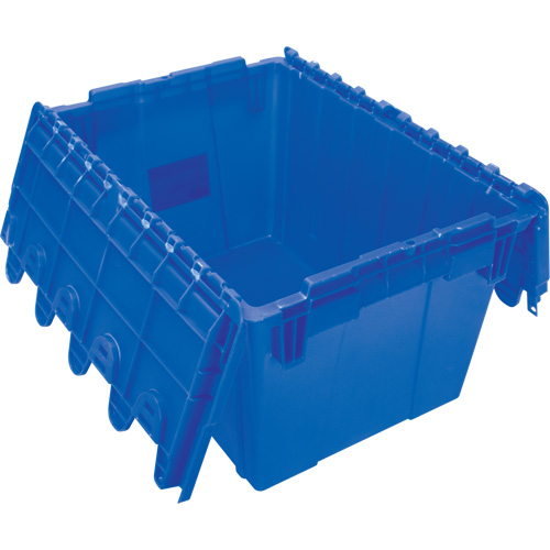 Flip Top Plastic Distribution Container, 21.65" x 15.5" x 12.5", Blue Groupe Belzile Dickner