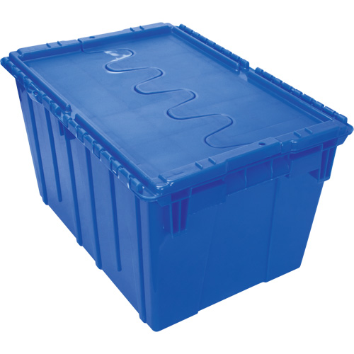 Flip Top Plastic Distribution Container, 21.65" x 15.5" x 12.5", Blue Groupe Belzile Dickner