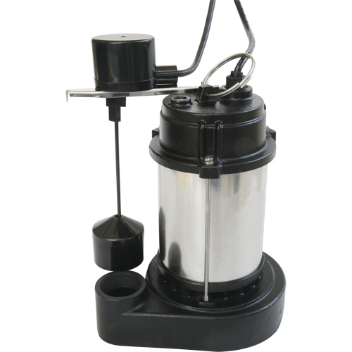 Stainless Steel Housing-Cast Iron Base Sump Pump, 1/3 HP, 3630 GPH Flow Rate Groupe Belzile Dickner