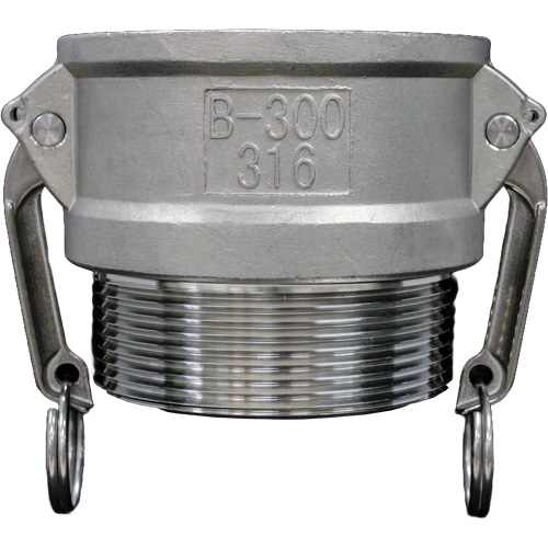 Cam & Groove Coupling, Stainless Steel, Type B, 1-1/4", Male NPT, 250 PSI Groupe Belzile Dickner