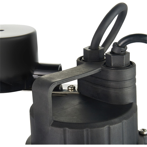Thermoplastic Submersible Sump Pump, 2560 GPH, 115 V, 4.6 A, 1/3 HP Groupe Belzile Dickner