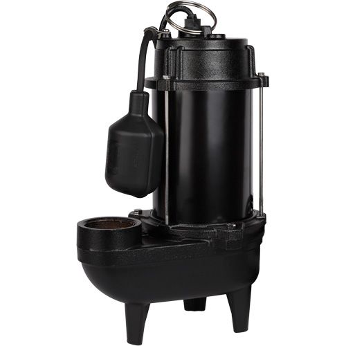 Pompe d'effluent en fonte, 4800 gal./h, 120 V, 7,8 A, 1/2 CV Groupe Belzile Dickner