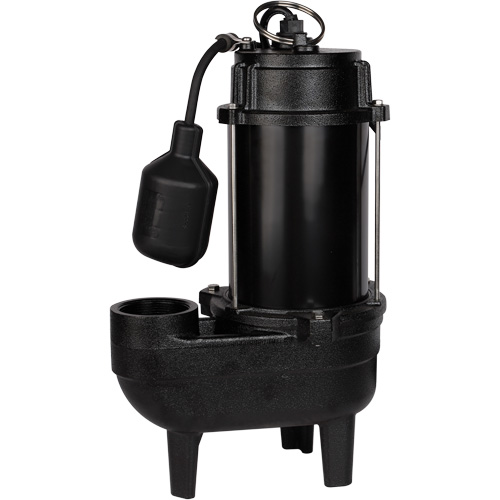 Pompe d'&eacute;gout en fonte, 120 V, 9,5 A, 6000 gal./h, 1/2 CV Groupe Belzile Dickner