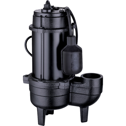 Pompe d'&eacute;gout en fonte, 120 V, 9,5 A, 6000 gal./h, 1/2 CV Groupe Belzile Dickner
