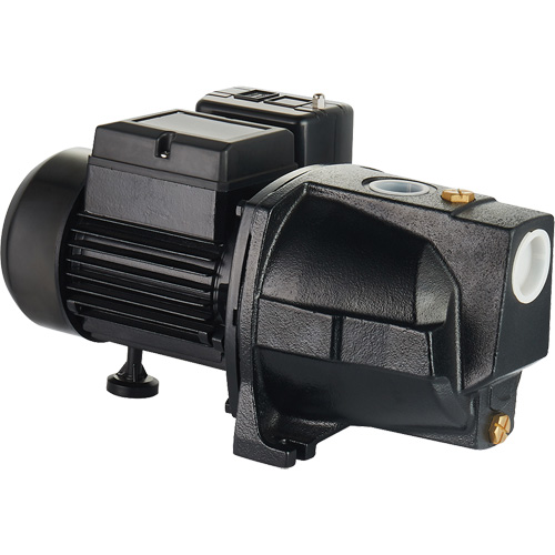 Dual Voltage Cast Iron Shallow Well Jet Pump, 115 V/230 V, 1100 GPH, 1 HP Groupe Belzile Dickner