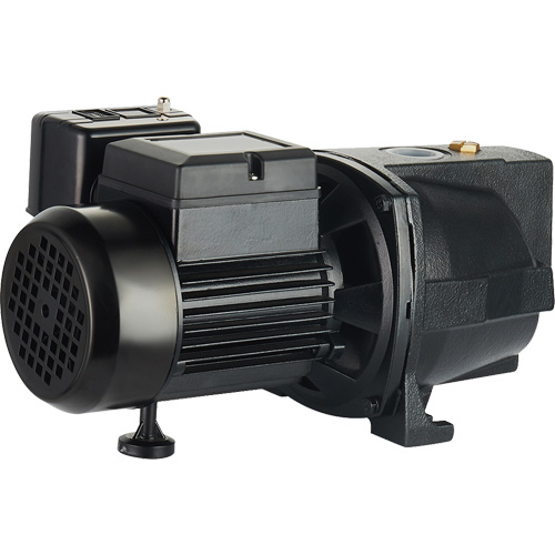 Dual Voltage Cast Iron Shallow Well Jet Pump, 115 V/230 V, 1100 GPH, 1 HP Groupe Belzile Dickner