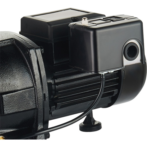 Dual Voltage Cast Iron Shallow Well Jet Pump, 115 V/230 V, 1100 GPH, 1 HP Groupe Belzile Dickner