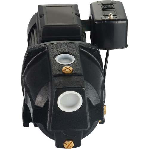 Dual Voltage Cast Iron Shallow Well Jet Pump, 115 V/230 V, 1100 GPH, 1 HP Groupe Belzile Dickner
