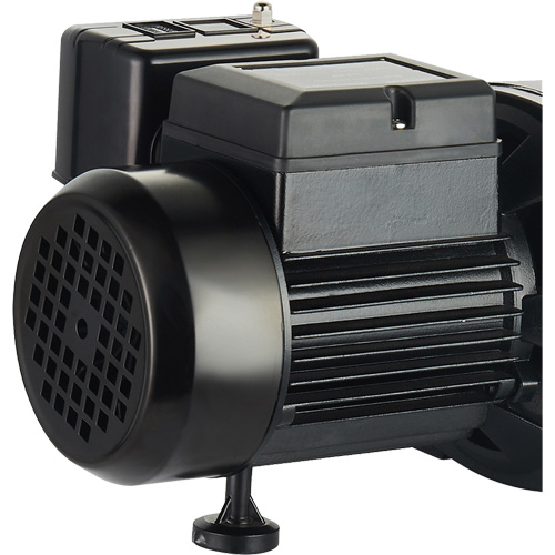 Dual Voltage Cast Iron Shallow Well Jet Pump, 115 V/230 V, 1100 GPH, 1 HP Groupe Belzile Dickner