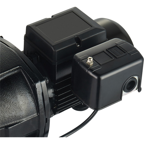 Dual Voltage Cast Iron Shallow Well Jet Pump, 115 V/230 V, 1100 GPH, 1 HP Groupe Belzile Dickner