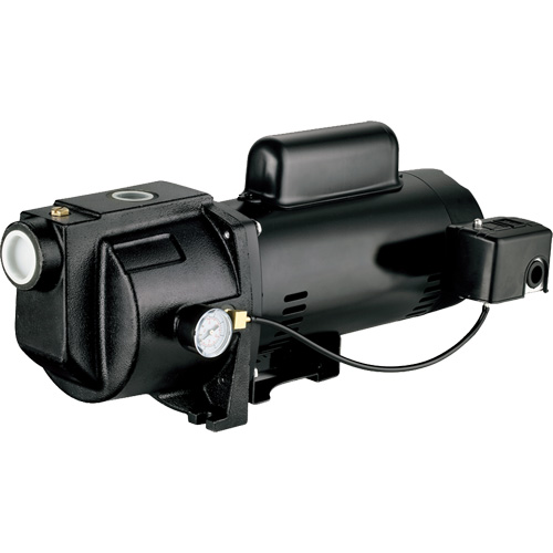 Pompe &agrave; jet en fonte &agrave; double tension pour puit peu profond, 115 V/230 V, 1260 gal./h, 1 CV Groupe Belzile Dickner