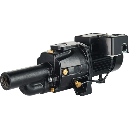 Dual Voltage Cast Iron Convertible Jet Pump, 115 V/230 V, 1100 GPH, 1/2 HP Groupe Belzile Dickner