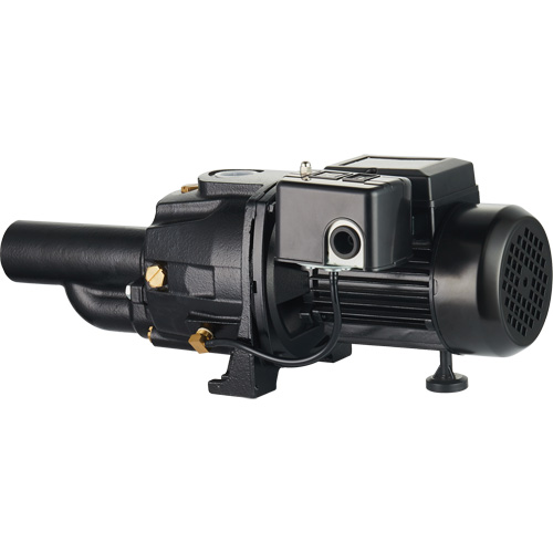 Dual Voltage Cast Iron Convertible Jet Pump, 115 V/230 V, 1100 GPH, 1/2 HP Groupe Belzile Dickner
