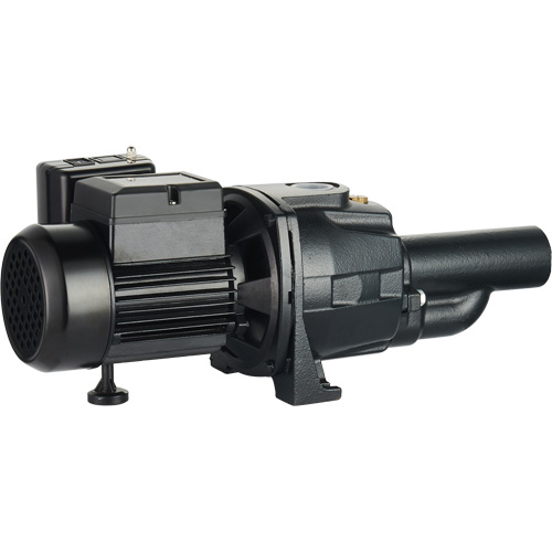 Dual Voltage Cast Iron Convertible Jet Pump, 115 V/230 V, 1100 GPH, 1/2 HP Groupe Belzile Dickner