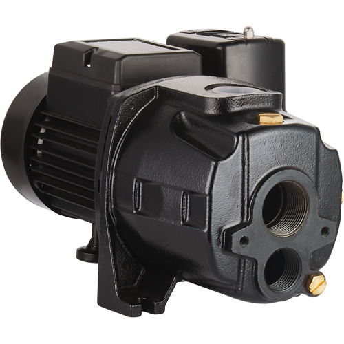 Dual Voltage Cast Iron Convertible Jet Pump, 115 V/230 V, 1100 GPH, 1/2 HP Groupe Belzile Dickner