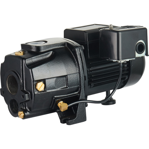 Dual Voltage Cast Iron Convertible Jet Pump, 115 V/230 V, 1100 GPH, 1/2 HP Groupe Belzile Dickner