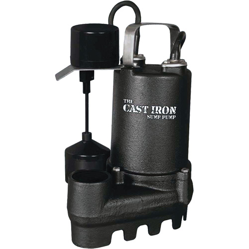 Cast Iron Submersible Sump Pump with Vertical Float Switch, 67 GPM, 33 V, 5 A, 1/3 HP Groupe Belzile Dickner