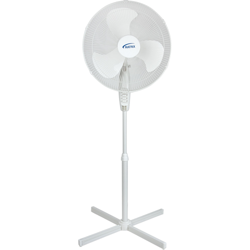 Oscillating Pedestal Fan, Commercial, 3 Speed, 18" Diameter Groupe Belzile Dickner