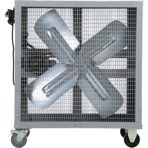 Direct Drive Heavy-Duty Mobile Filtered Fan, 2 Speeds Groupe Belzile Dickner