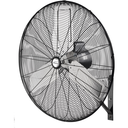 Non-Oscillating Wall Fan, Industrial, 2 Speed, 30" Diameter Groupe Belzile Dickner