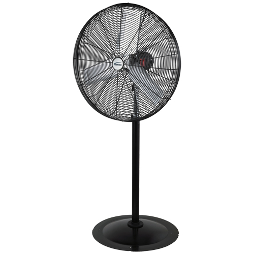 Oscillating Pedestal Fan, Heavy-Duty, 3 Speed, 30" Diameter Groupe Belzile Dickner