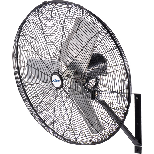 Waterproof Motor Misting & Oscillating Pedestal Fan, Industrial, 3 Speed, 30" Diameter Groupe Belzile Dickner