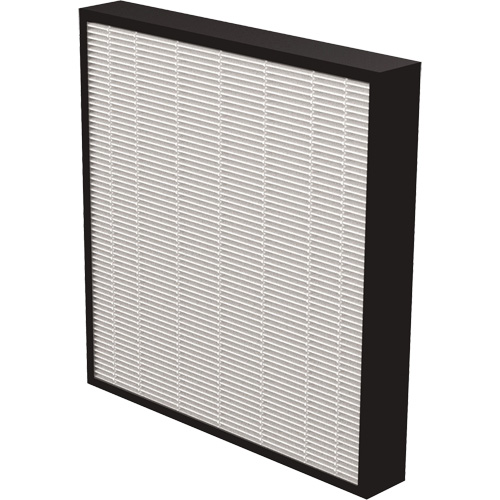 AeraMax&reg; Pro AM3 & AM4 2" True HEPA Filter, Box, 13.75" W x 2.25" D x 14.38" H Groupe Belzile Dickner